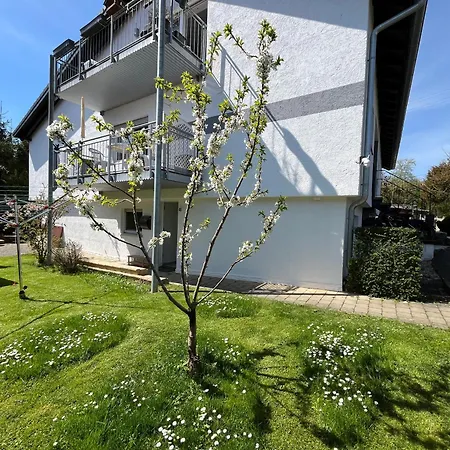 Meisteroffice Im Sackgaessle, Ebenerdige Elw 50qm, Terrasse, Vollwertige Kueche, Naehe Ulm Daire *