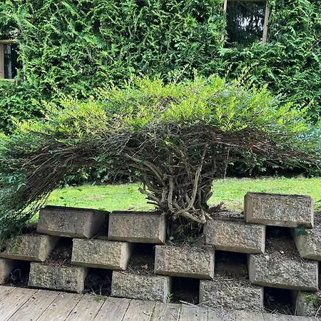 Meisteroffice Im Sackgaessle, Ebenerdige Elw 50qm, Terrasse, Vollwertige Kueche, Naehe Ulm 아파트 *