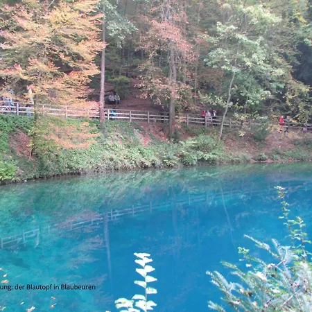Meisteroffice Im Sackgaessle, Ebenerdige Elw 50qm, Terrasse, Vollwertige Kueche, Naehe Ulm *