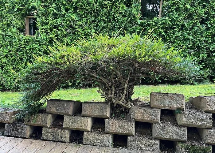 Meisteroffice Im Sackgaessle, Ebenerdige Elw 50qm, Terrasse, Vollwertige Kueche, Naehe Ulm Apartamento *